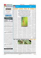 Page-004