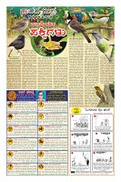Page-5