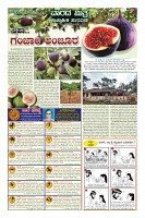 Page-10
