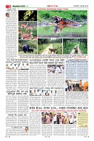 Page-3
