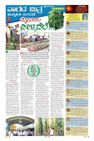 MM-15-1 (12 files merged) (11)-page-009