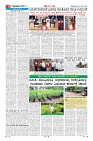 MM-20-5-page-008