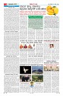 Page-9