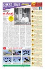 MM-29-page-009